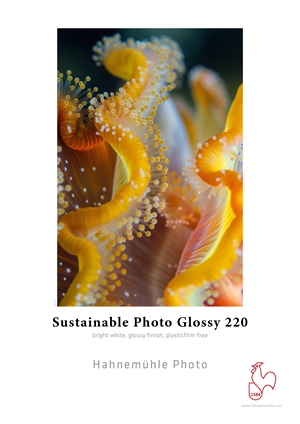 Hahnemühle Sustainable Photo Glossy 220 g/m² - A2 25 ark